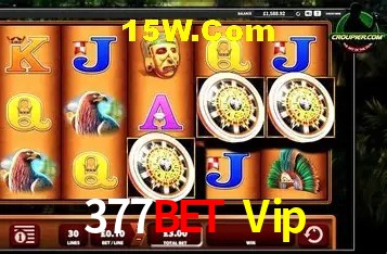 377Bet Vip Brasília - Leaderboards