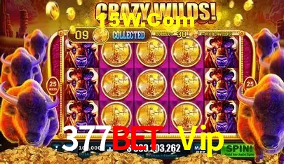 377Bet Vip Belo Horizonte - Basketball