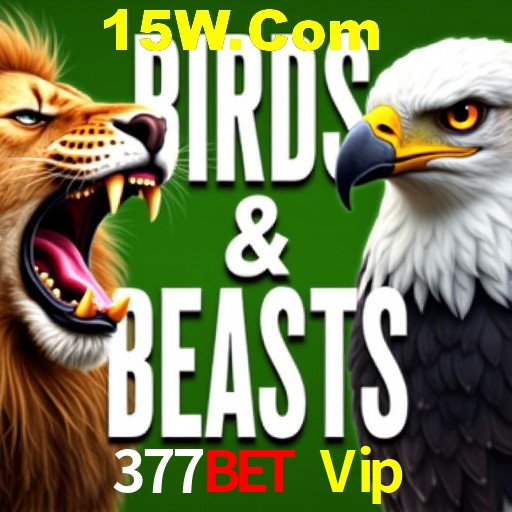 Apostas de Futebol 377Bet Vip